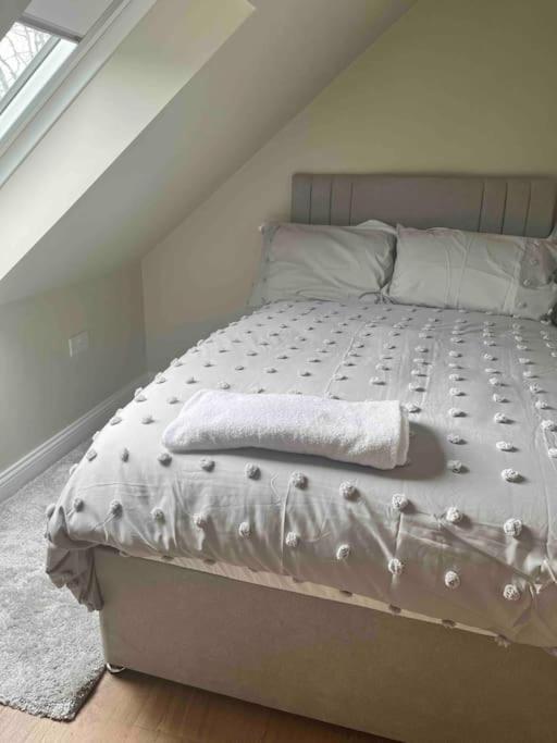 Mid Antrim Modern Apartment Newferry Екстер'єр фото